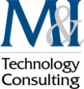 Matson & Issom Technology Consulting